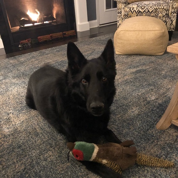 Meet your Posher, Karen - Picture 3 of 3